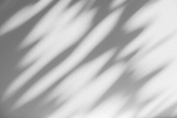 Poster - Wall interior background, studio and backdrops show products.with shadow from window color white and grey. background for text insertion and presentation product