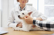 © sofiko14 - Female vet examining white dog while male owner observes consultation in professional setting