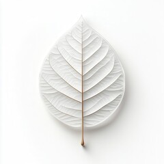Poster - Elegant white leaf design with intricate details on a smooth white background.