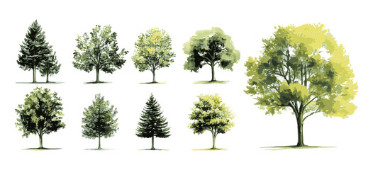 Botanical Vector Elements collection of watercolor style vectors featuring blooming trees, and forests, ideal for environmental and garden designs