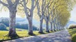 © purnama - Sun-dappled road flanked by elegant sycamores, a serene painted vista