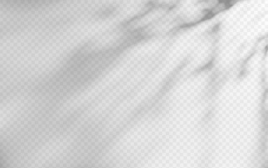 Wall Mural - abstract shadow overlay from foliage on a transparent background.