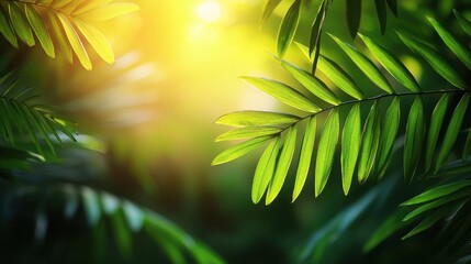 Aufkleber - Stunning green leaf illuminated by sunlight creating a beautiful scene for printable downloads sales promotion
