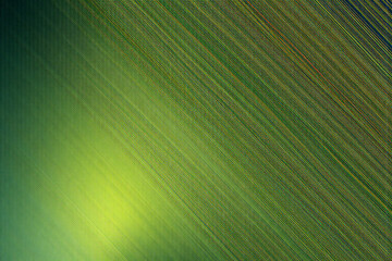 Fototapete - Abstract diagonal lines create a dynamic motion effect across a textured green and yellow gradient backdrop. Soft blurred edges add depth to the simple yet artistic design.