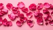 © Pure Imagination - Romantic arrangement of luminous rose petals delicately scattered on light pink