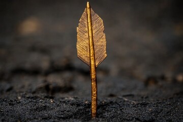 Poster - Golden feather quill standing upright in dark soil under soft lighting during a tranquil morning