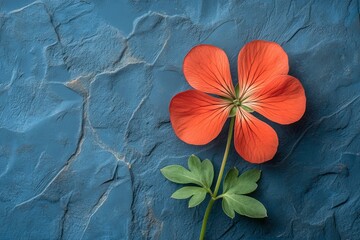Poster - Vibrant orange flower on textured blue surface creating a striking visual contrast and natural beauty