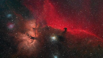 Wall Mural - milky way twinkling stars, horsehead nebula and constellations.