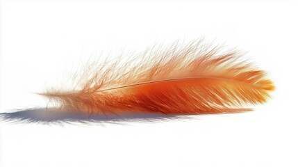 Poster - A vibrant orange feather resting on a clean white surface, showcasing delicate textures and soft shadows.