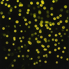 Poster - Striking black background adorned with bright yellow circles creating a modern and dynamic look