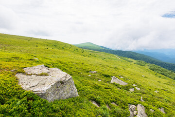 Wall Mural - alpine landscape in summer. cloudy weather. scenery in carpathian mountains of ukraine. stones on th