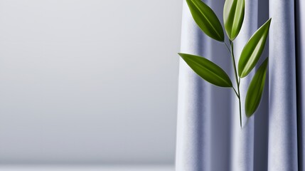 Poster - Elegant indoor plant in a decorative vase set against beautiful window treatments enhancing the bright room ambiance