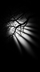 Wall Mural - a photo of a black-and-white tree with sunlight streaming through its branches, casting light on the