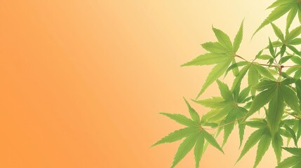 Wall Mural - Japanese Maple Leaves Against Gradient Sunset Background