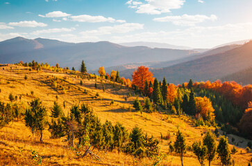 Fototapete - Breathtaking view of the colorful slopes of distant hills illuminated by the sun's rays. Carpathian mountains, Ukraine, Europe.