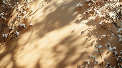 Poster - Delicate branches with tiny white flowers stretch across a warm-toned backdrop, casting gentle shadows that evoke tranquility and peace in a relaxed indoor setting.