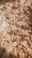 Poster - Softly illuminated by natural light, slender stems adorned with delicate white flowers and hints of orange create a serene and artistic composition against a muted cream background.