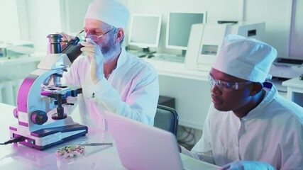 Wall Mural - senior scientist using microscope and explaining results to his african american colleague who is ta