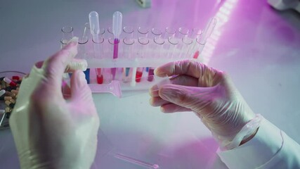 Wall Mural - medical researcher examining transparent sample strips under ultraviolet light, working in sterile p