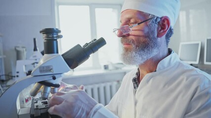 Wall Mural - laboratory researcher with beard wearing white lab coat and surgical cap carefully examining biologi