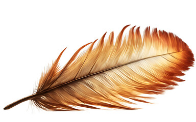 Poster - Phoenix feather radiating warm light, isolated on a empty plain background