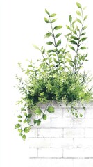 Wall Mural - Lush greenery overflowing white brick wall; nature background, garden design