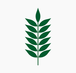Wall Mural - green leaf symbol. plant icon flat design element. vector illustration.