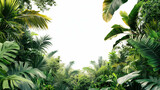 Lush Tropical Jungle Frame with Exotic Greenery Isolated on White Background. Tropical Rainforest