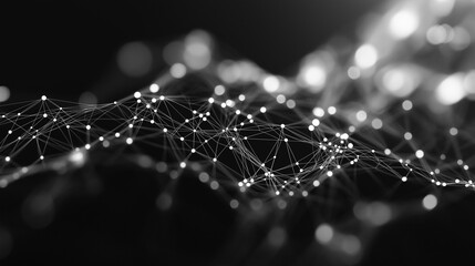 spider web on a dark background