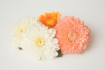 Poster - Floral Harmony: A close-up of a delicate array of colorful flowers, including a peach-hued bloom alongside white petals, evoking feelings of freshness and elegance.