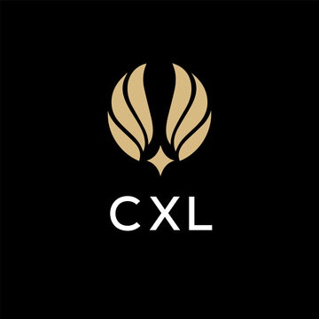 CXL creative minimalist letter logo.