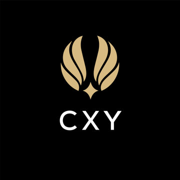 CXY creative minimalist letter logo.