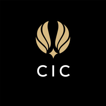 CIC creative minimalist letter logo.