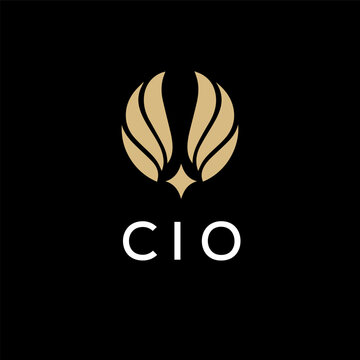 CIO creative minimalist letter logo.