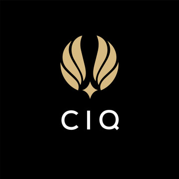 CIQ creative minimalist letter logo.