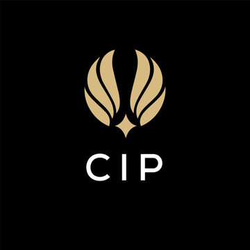 CIP creative minimalist letter logo.