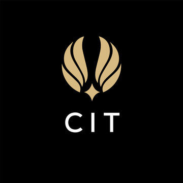 CIT creative minimalist letter logo.