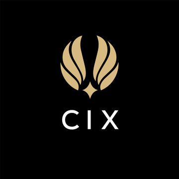 CIX creative minimalist letter logo.