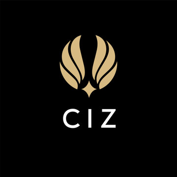 CIZ creative minimalist letter logo.