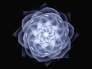 Poster - Elegant floral abstraction with swirling patterns and smooth gradients against a dark background