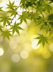 Poster - Green leaves against a soft blurred background showcasing the beauty of nature in an abstract style