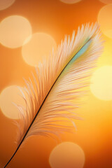 Poster - Delicate feather with soft hues illuminated by warm bokeh lights in a vibrant setting