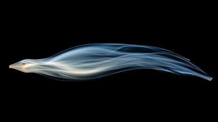 Poster - Abstract bird in motion, ethereal smoke-like form