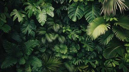 Aufkleber - Lush green tropical foliage wall, dense texture of various leaves.