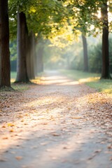 Poster - sun-dappled trees along quiet park path with soft golden light highlighting leaves