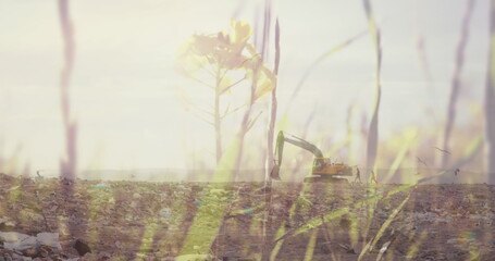 Poster - Summer grass over digger in rubbish disposal site