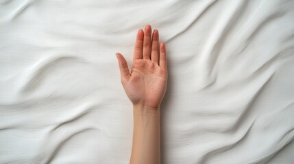 Leinwandbilder - Elegant Female Hands Gesturing on a Simple White Background