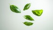 © Nataliia_Trushchenko - Bunch of green leaves are flying through the air. The leaves are all different sizes and shapes, but they all have a similar color. Concept of freedom and movement