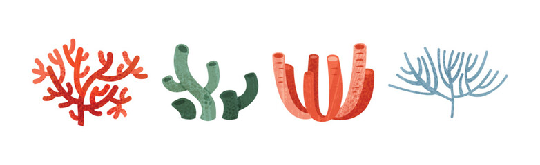 Poster - Sea Weeds and Algae of Different Color and Shape Vector Set