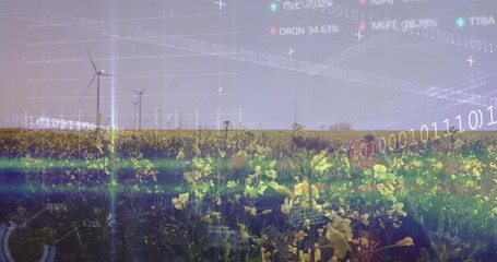 Poster - Wind turbines spinning in yellow flower field with financial data animation overlay